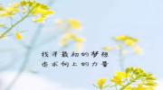斑马简笔画图片