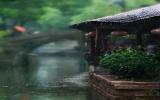 孤独的雨景图片