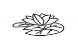 莲花简笔画