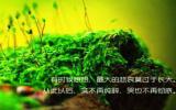 LOMO唯美图片