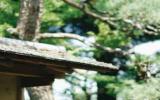 走走停停山水风光