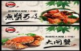大闸蟹海报图片