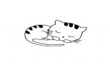幼儿简笔画小花猫