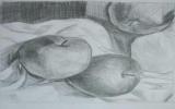 水果素描画